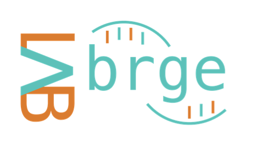 Barcelona Research Group on Environmental Epidemiology (BRGE)
